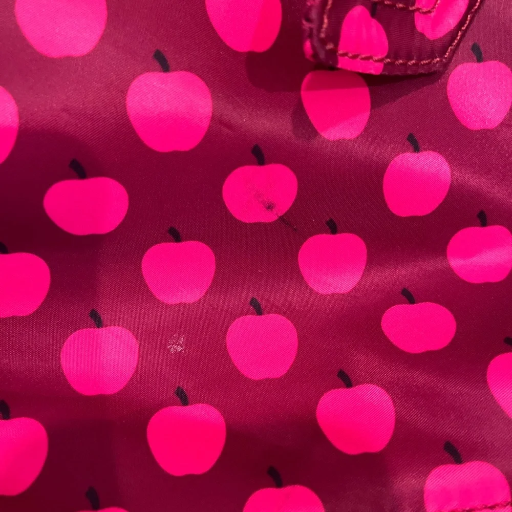 Kate Spade Red and Pink Tote